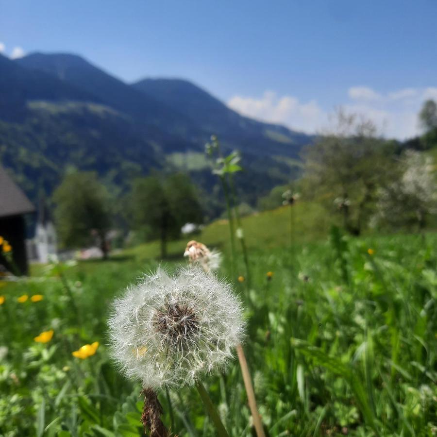 Sunnaschi Appartements - Wohnungen Oder Gesamt Als "Huette" Laterns Bagian luar foto