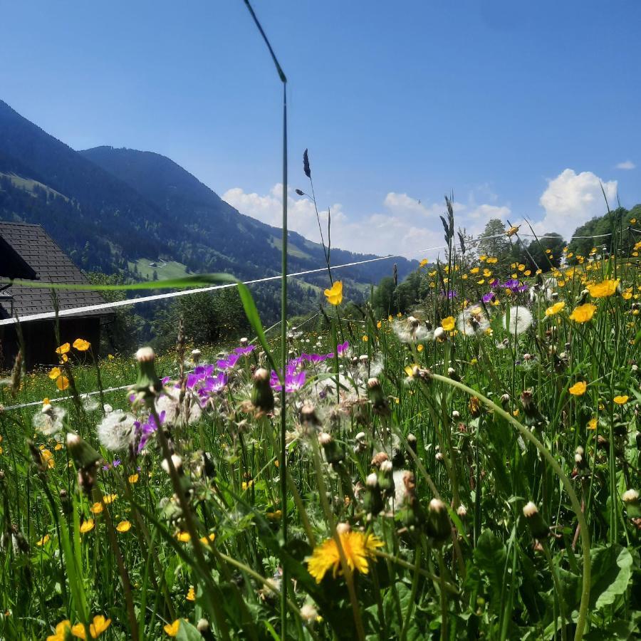 Sunnaschi Appartements - Wohnungen Oder Gesamt Als "Huette" Laterns Bagian luar foto
