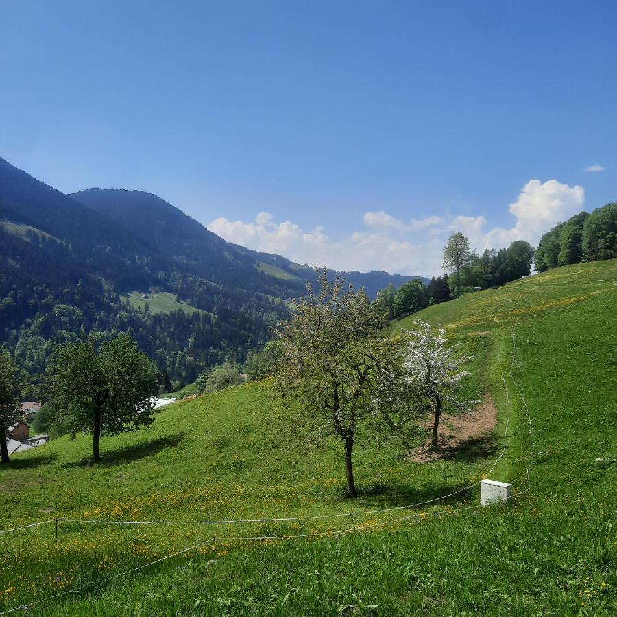 Sunnaschi Appartements - Wohnungen Oder Gesamt Als "Huette" Laterns Bagian luar foto