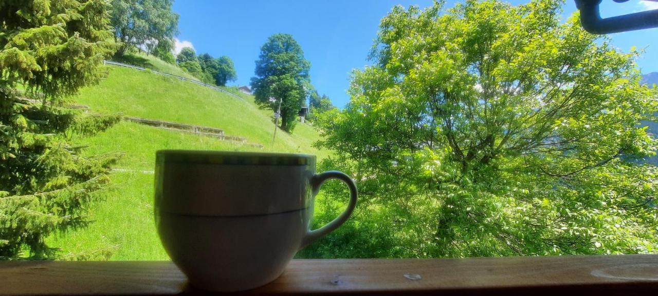 Sunnaschi Appartements - Wohnungen Oder Gesamt Als "Huette" Laterns Bagian luar foto