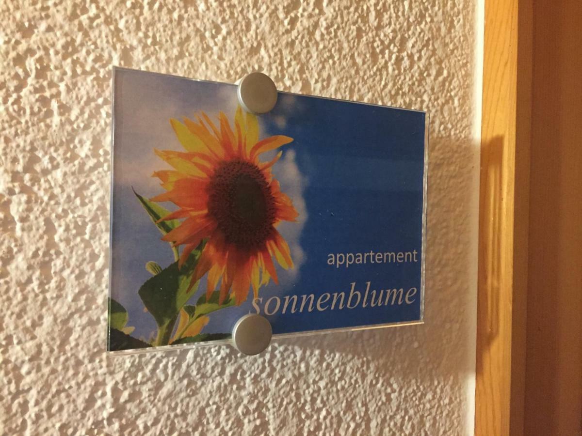 Sunnaschi Appartements - Wohnungen Oder Gesamt Als "Huette" Laterns Bagian luar foto